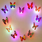 🦋 Colorful Three-Dimensional Butterfly Night Light