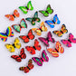 🦋 Colorful Three-Dimensional Butterfly Night Light