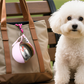 🐕 Foldable Dog Water Bottle with Built-in Bowl – Leak-Proof Portable Pet Water Dispenser for Walking, Hiking & Travel, 550ml BPA-Free 🌿✨
