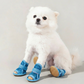 ☀️ Breathable Dog Booties with Non-Slip Sole – Lightweight Mesh for Hot Pavement
