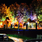 🌳 IP65 Waterproof Outdoor Ring Tree Light