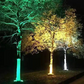 🌳 IP65 Waterproof Outdoor Ring Tree Light