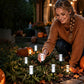 🏡 Solar Garden Stake Lights Outdoor – Decorative Solar Powered Pathway Lighting for Walkway, Lawn, Patio & Flower Bed 🌸✅