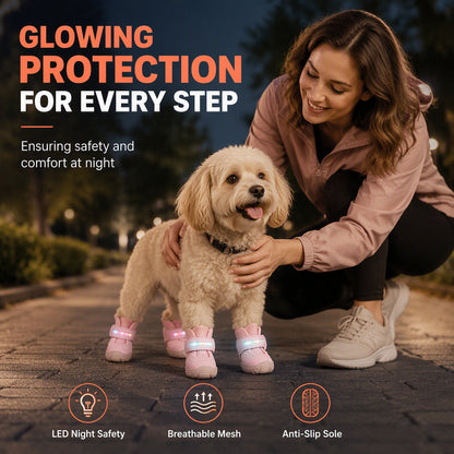 🐾 LED Light Up Dog Shoes – Breathable Mesh Paw Protectors