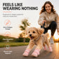 🐾 LED Light Up Dog Shoes – Breathable Mesh Paw Protectors