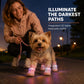 🐾 LED Light Up Dog Shoes – Breathable Mesh Paw Protectors