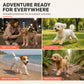 🐾 LED Light Up Dog Shoes – Breathable Mesh Paw Protectors