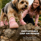 🐾 LED Light Up Dog Shoes – Breathable Mesh Paw Protectors