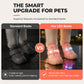 🐾 LED Light Up Dog Shoes – Breathable Mesh Paw Protectors