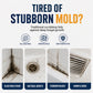 🧹 Multi-Purpose Mould & Mildew Stain Remover – Powerful Foam Spray