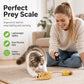 😺 Interactive Squeaking Plush Cat Toy