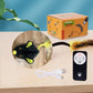 😺 Interactive Squeaking Plush Cat Toy