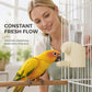 🐦 250ml Automatic Bird Water Dispenser
