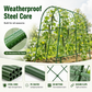 🌿 A-Frame Cucumber Trellis for Climbing Plants