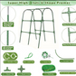 🌿 A-Frame Cucumber Trellis for Climbing Plants