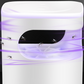 🪰 UV Fly Trap with Transparent Catch Box: 2W, 50-100m² Coverage, USB Powered, Low-Noise, Chemical-Free