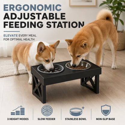 🐕 Elevated Dog Bowls Set: Adjustable Height, Slow Feeder, Stainless Steel, Ergonomic