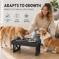 🐕 Elevated Dog Bowls Set: Adjustable Height, Slow Feeder, Stainless Steel, Ergonomic