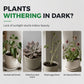 🌱Full Spectrum LED Plant Grow Light