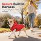 🐕 Warm Hooded Pet Coat: Thickened Fleece Winter Vest, Windproof, Built-in Harness, for Small/Medium Dogs