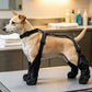 🐕 Anti-Drop Dog Boots: Suspender Harness System, Waterproof, Non-Slip, All-Weather Protection