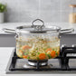 🍲 Borosilicate Glass Pot: Direct Heat, Transparent, Steel Handles