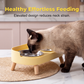 🐾 Ergonomic Raised Double Pet Feeder: Anti-Spill, Stainless Steel, Non-Slip Base