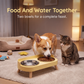 🐾 Ergonomic Raised Double Pet Feeder: Anti-Spill, Stainless Steel, Non-Slip Base