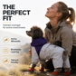 🐕 Pet Raincoat: All-Weather Protection, Waterproof, Windproof, Four-Leg Design, Reflective, Sizes S-2XL