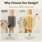🐱 2-in-1 Cat Groomer & Feather Teaser: Wall-Mounted, Self-Grooming Brush, No Floor Space