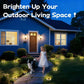 ☀️ Solar Garden Ground Lights: 4-Pack, 8 LED, Stainless Steel, Auto On/Off