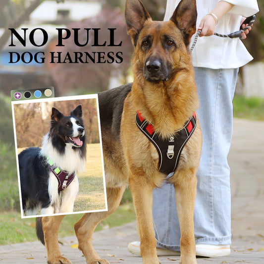 🐕 No-Pull Dog Harness: Front D-Ring, LED Collar, Padded Comfort, Adjustable, Reflective