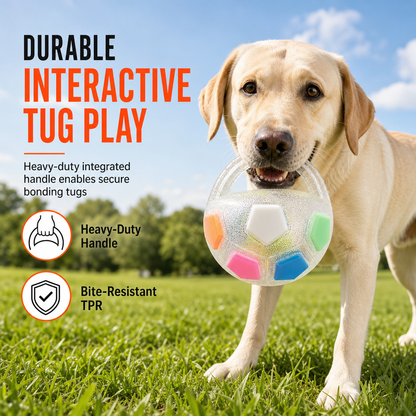 🎯 Dual-Layer Stimulating Dog Soccer Toy: TPR Bite-Resistant Shell, Reinforced Grab Tabs, Seamless Body for Indoor & Outdoor Games