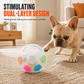 🎯 Dual-Layer Stimulating Dog Soccer Toy: TPR Bite-Resistant Shell, Reinforced Grab Tabs, Seamless Body for Indoor & Outdoor Games
