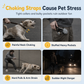 🐕 Dog Harness with Backpack: Hands-Free, No-Choke Padded Vest, Reflective, Small Dogs