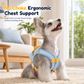 🐕 Dog Harness with Backpack: Hands-Free, No-Choke Padded Vest, Reflective, Small Dogs
