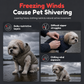 🐕 Padded Dog Harness Vest: Built-In Harness Rings, Thick Warm, No Collar Pressure