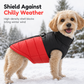 🐕 Padded Dog Harness Vest: Built-In Harness Rings, Thick Warm, No Collar Pressure