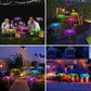 🔥New Year Big Sale 49% OFF🔥 Solar Waterproof Outdoor Lawn Color Changing Jellyfish Ambient Light